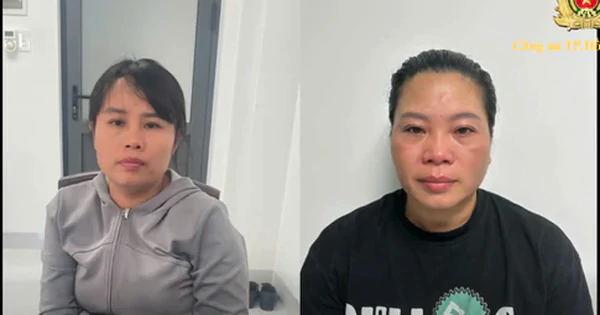 胡志明市警方起诉11人 涉跨省盗狗宰杀销往北方 · 报道配图