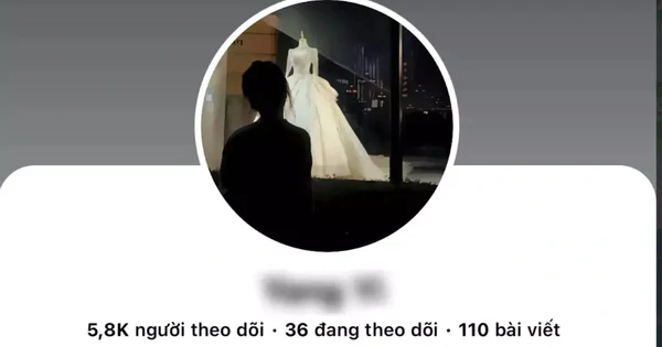 越南23岁女子跳桥身亡，家属称其生前遭网络攻击 · 报道配图