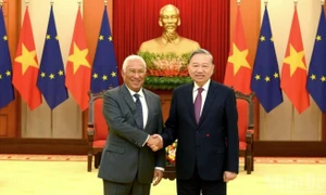 全面提升越南与丹麦、欧盟和比利时的关系