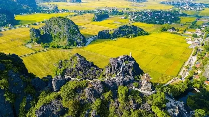 从Hang Múa山顶俯瞰金黄稻田