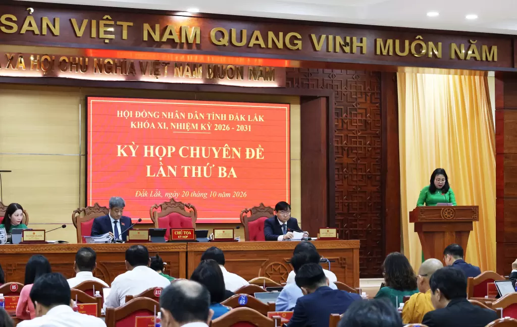 得樂省提出人才引進政策，每人最高一次性補助20億越南盾