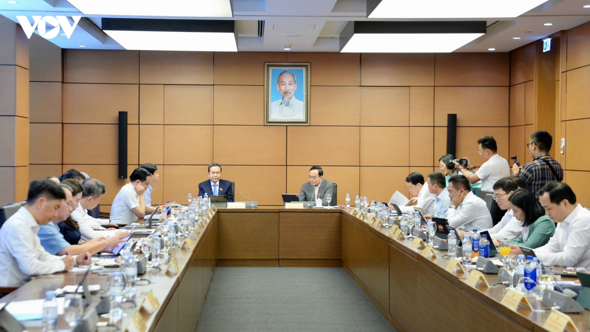 国会主席陈青敏