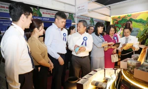 山罗省芝梅乡靠咖啡种植将贫困户降至201户 · 报道配图