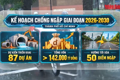 胡志明市登垂雲路抬高逾一米，沿線民宅成窪地 · 報道配圖