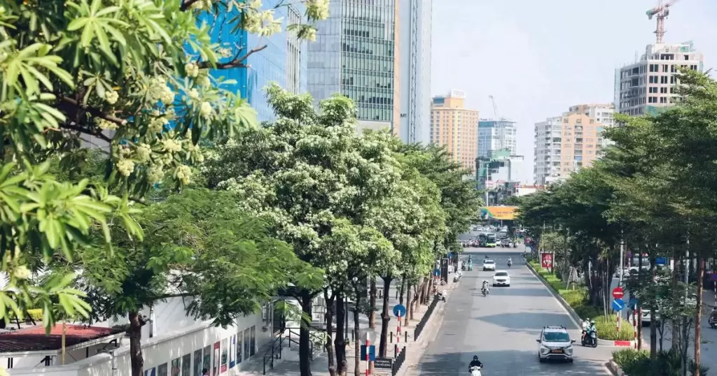 河内公布绿化总体方案，拟2030年前内城人均绿地超10平方米