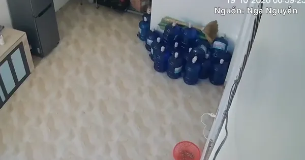 越南广义省芒笔乡连续发生地震,专家建议每年核查防震计划 · 报道配图