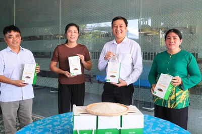 芹苴市与历届妇联干部对话,并表彰“爱心妈妈”典型 · 报道配图