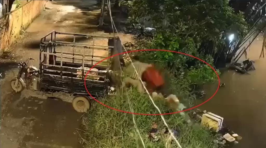 男子從三輪車向河道傾倒垃圾