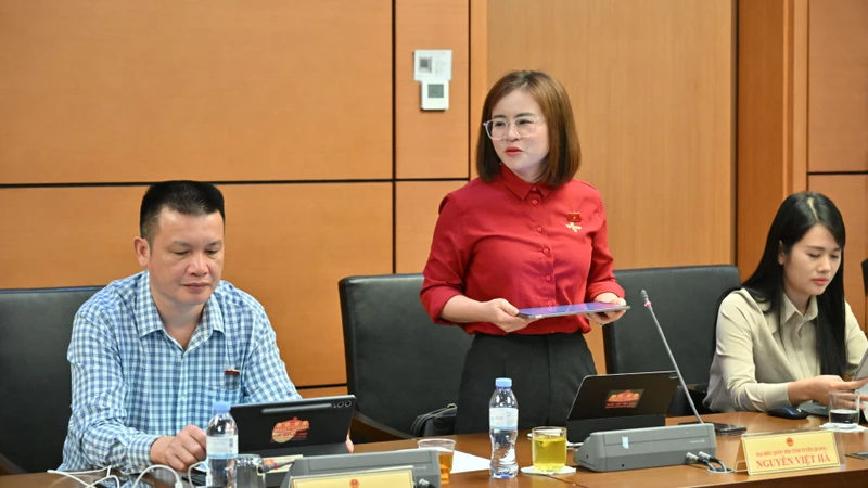 越南国会分组讨论经济社会与预算，代表吁疏通信贷与能源瓶颈 · 报道配图