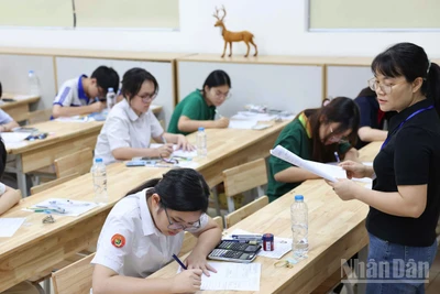 越南教育部新规:五、九、十二年级定期考试改用省级统一试卷 · 报道配图