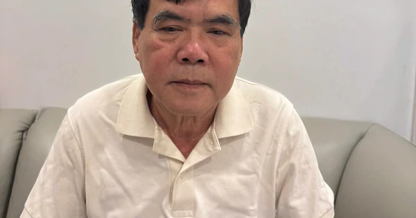 河静警方在胡志明市抓获潜逃逾9个月网络赌博嫌犯 · 报道配图