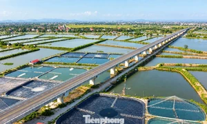 连接清化与宁平、投资近2万亿越南盾的沿海公路即将投入运营