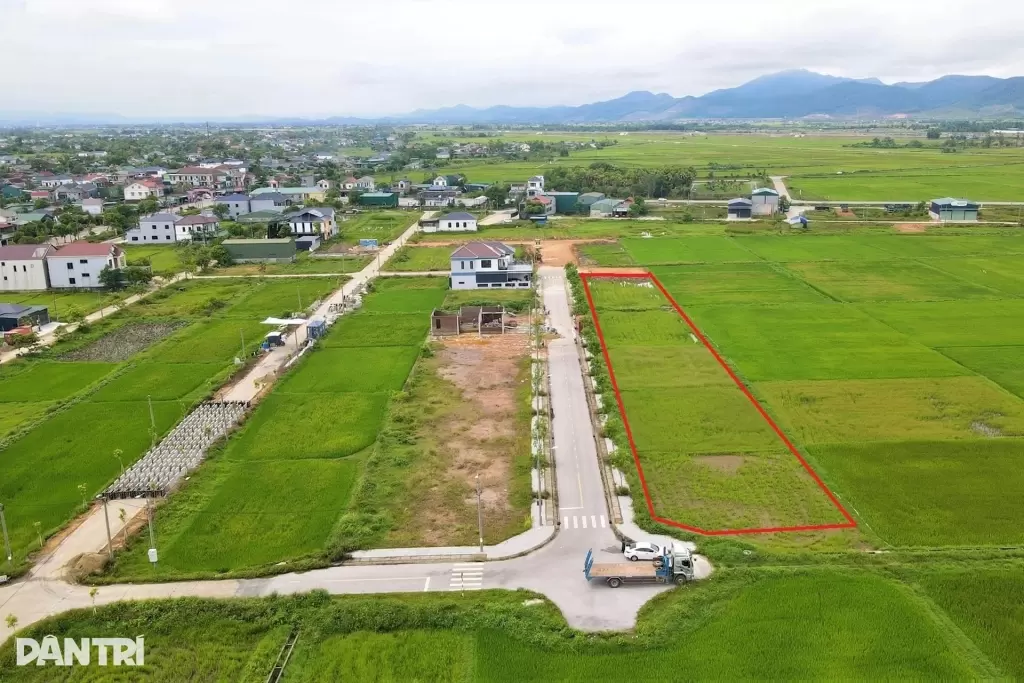 15块土地拍卖