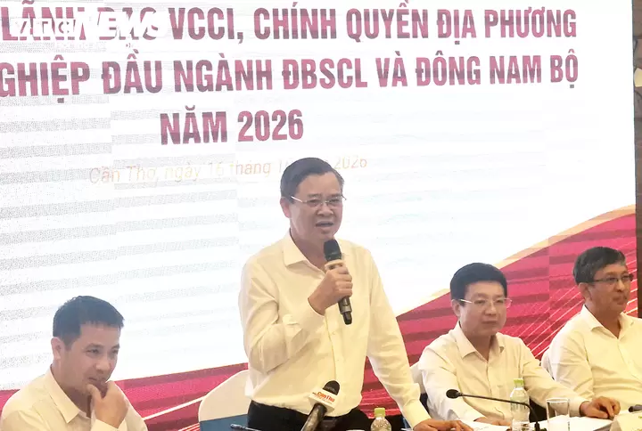 芹苴市人民委员会主席张景宣在会上发言。