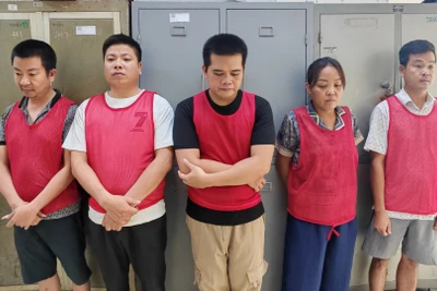 廣寧省警方破獲非法傾倒填埋約300噸工業廢料案 · 報道配圖