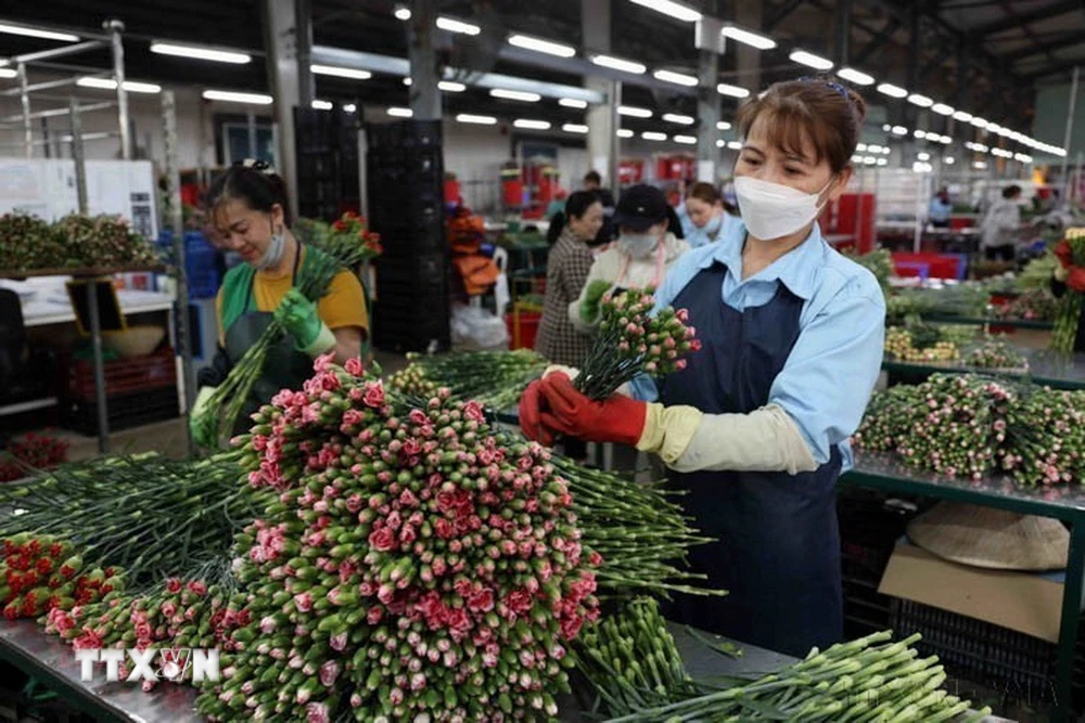 越南与丹麦建绿色战略伙伴关系,总书记将首次访丹 · 报道配图