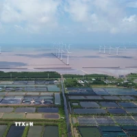 金甌省永後鄉東海沿岸運行的風電項目。