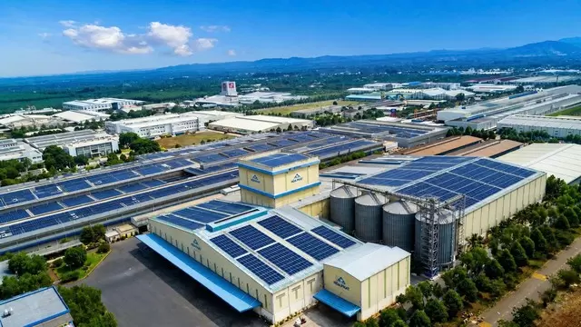 和發農業公佈2026年三季度生豬銷量環比增47% · 報道配圖