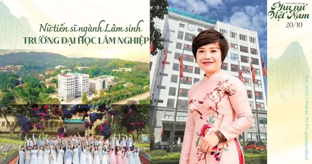 越南林学女博士陈氏梅仙谈二十余年科研与教学