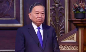 苏林在哥本哈根会见丹麦企业,邀其扩大港口物流与清洁能源投资 · 报道配图