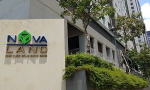 Novaland就破产信息作出回应