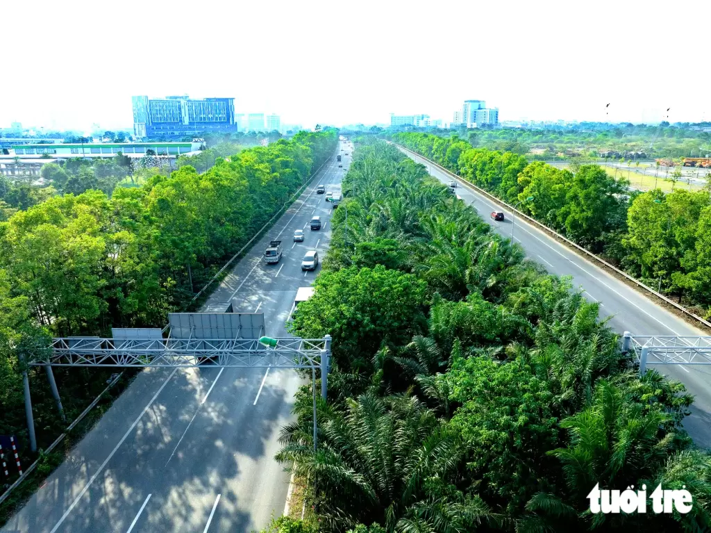河内发布新规禁止在公共场所种植18种树木 · 报道配图