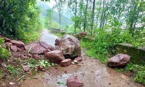 嘉萊省要求緊急遷移歸仁山體滑坡高風險居民 · 報道配圖