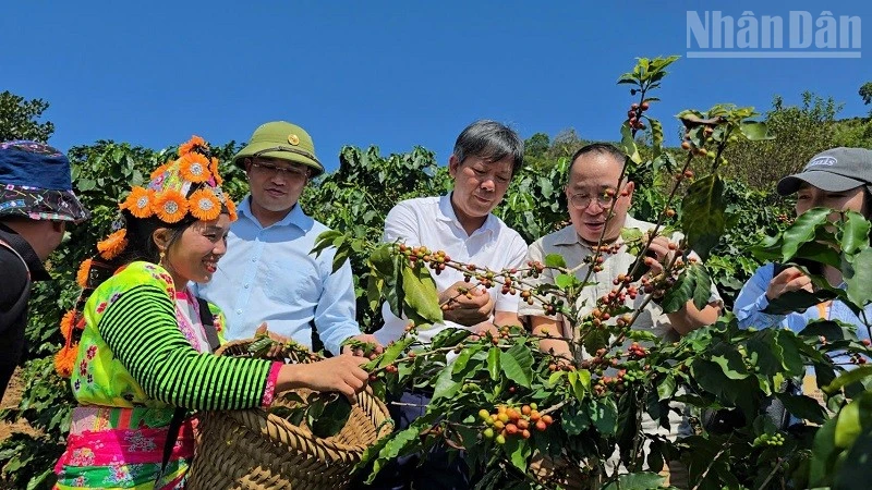奠边国际投资促进会签署近20万亿越盾投资协议 · 报道配图