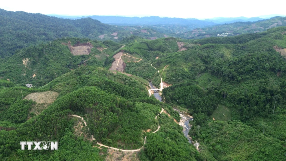 得普林乡边境地区造林