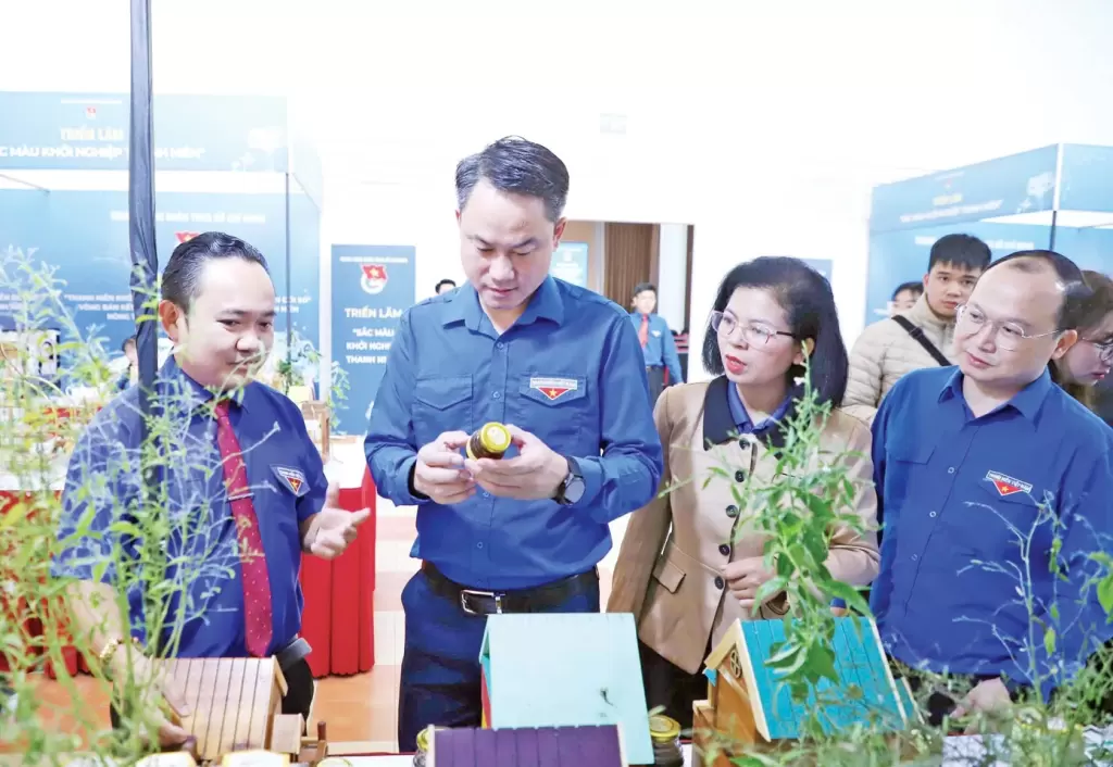 安江七山青年养蜂人将无刺蜂养殖扩至千余箱 · 报道配图