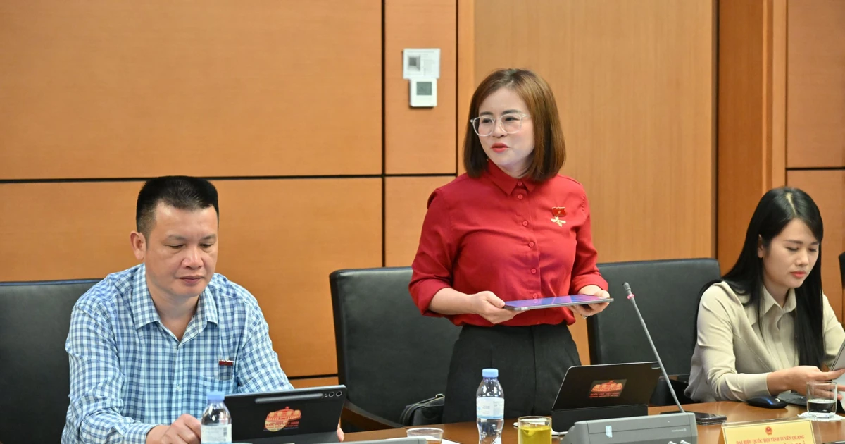 越南国会分组讨论经济社会与预算，代表吁疏通信贷与能源瓶颈