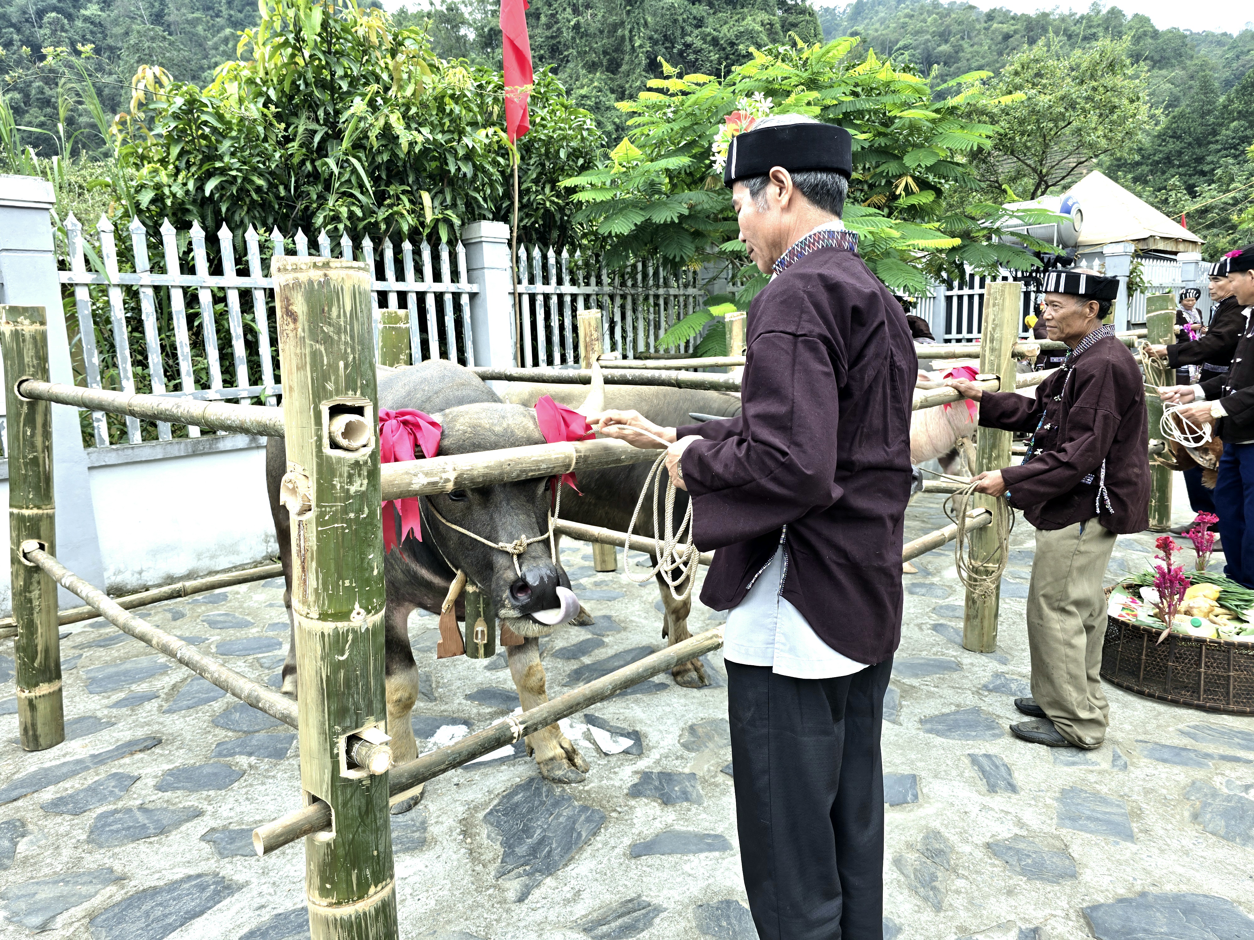 卢族祭牛魂仪式中的人文之美——图4