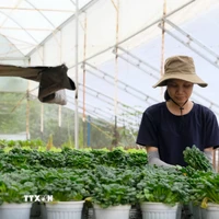 越南与欧洲自由贸易联盟签署自贸协定,水产出口迎高端市场机会 · 报道配图