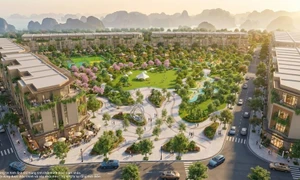 Vinhomes五年期年利率3-9%计划的双重效益