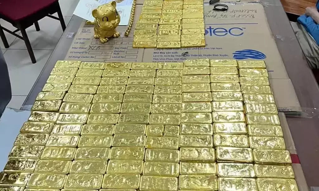 河内开庭审理Mr Pips外汇诈骗洗钱案 188名被告出庭 · 报道配图