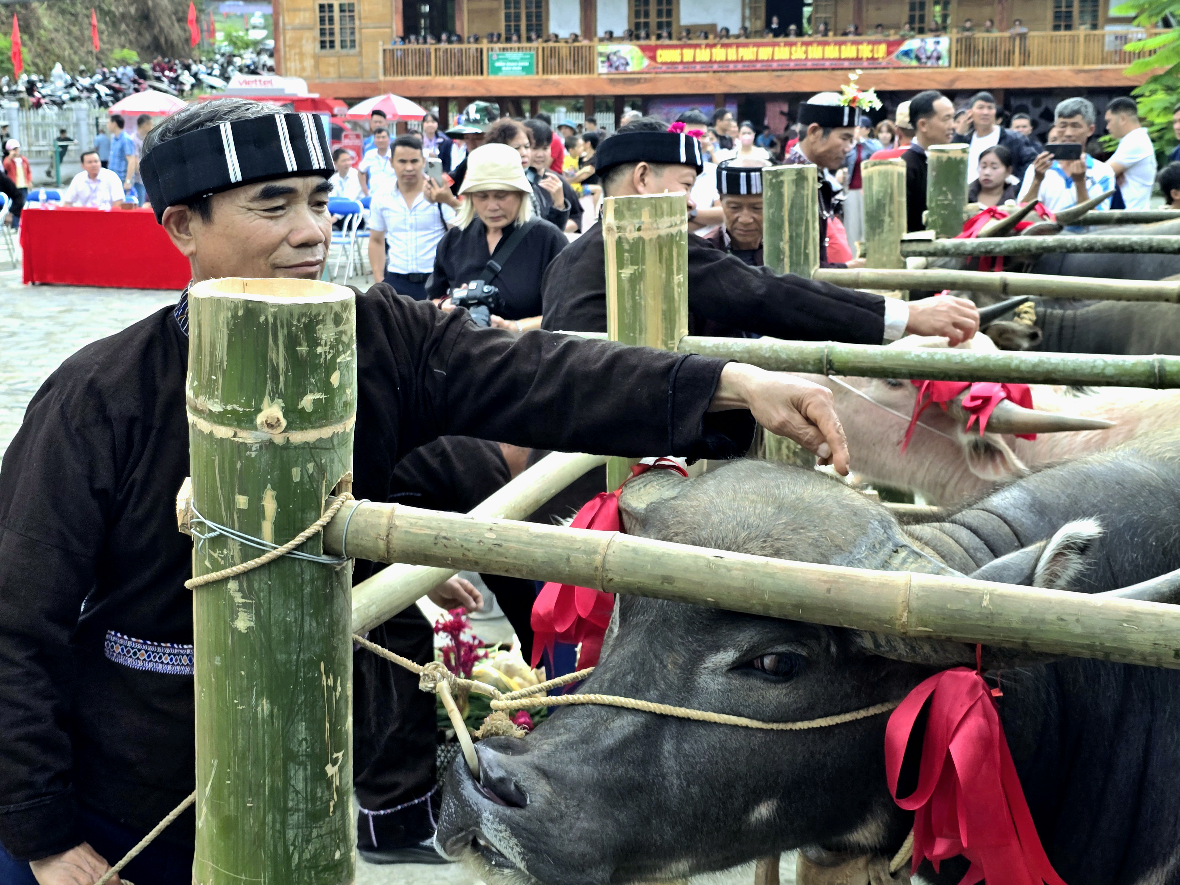 卢族祭牛魂仪式中的人文之美——图8