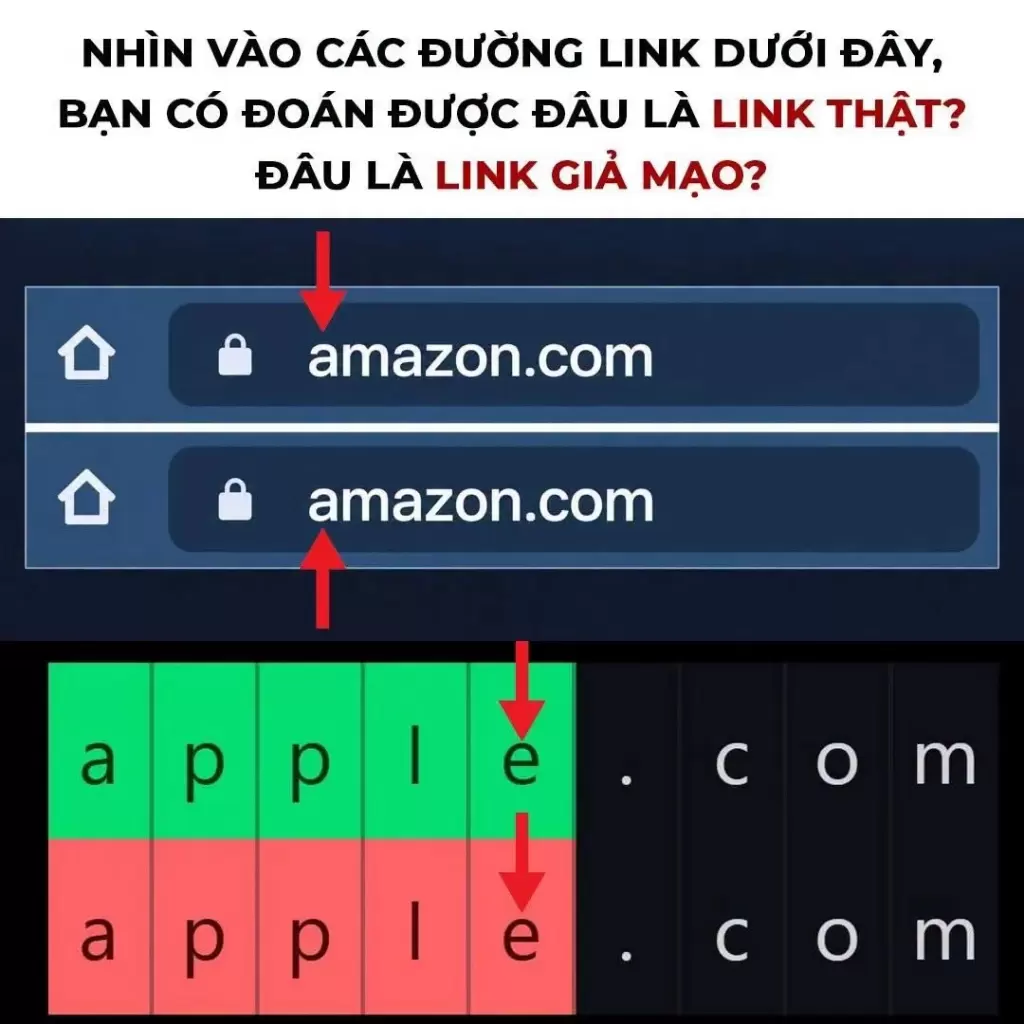 网络安全局图片