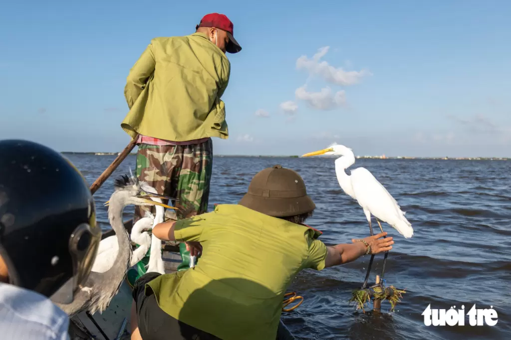 广治海陵湿地猎鸟屡禁不止 读者要求严惩捕猎与消费两端 · 报道配图