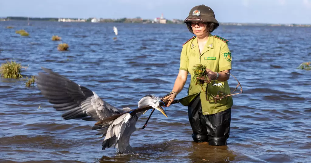 广治海陵湿地猎鸟屡禁不止 读者要求严惩捕猎与消费两端