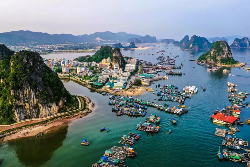 越南雲屯特區Cái Rồng市場項目追加人力趕工,目標2027年1月基本完工