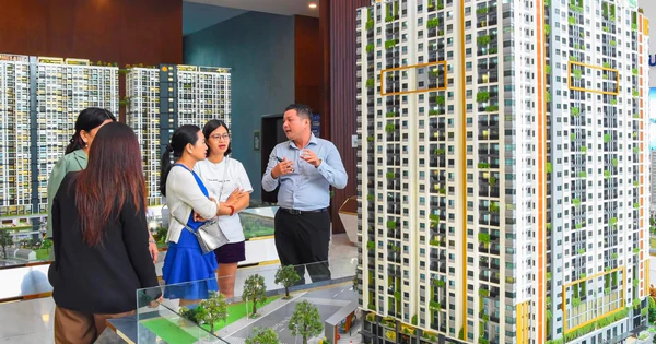越南房地产专家称市场周期或缩短至3至4年 · 报道配图