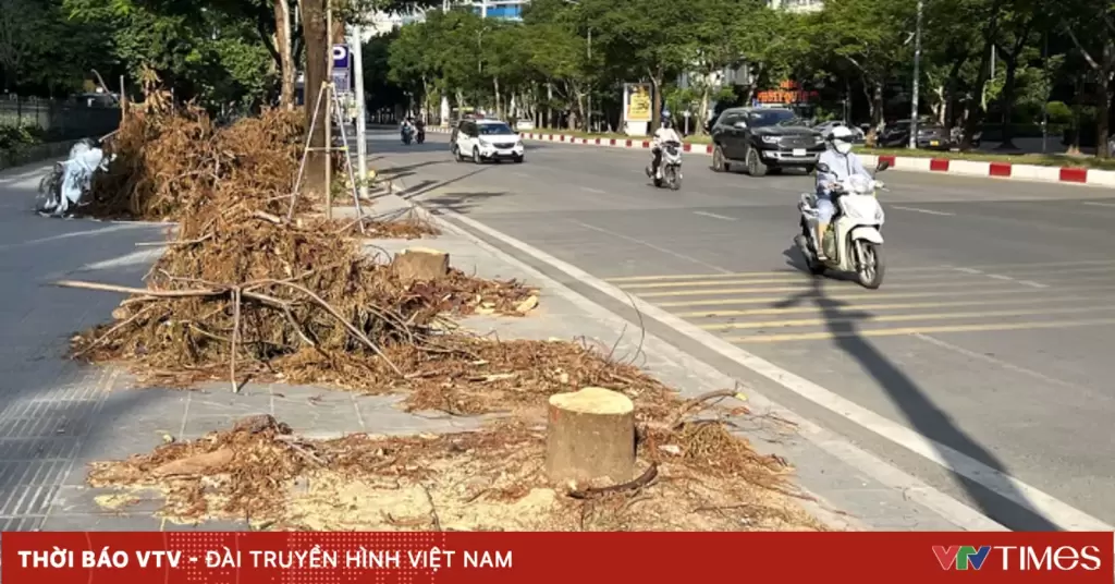 河内美池—杨廷艺路口开建第8条地下通道