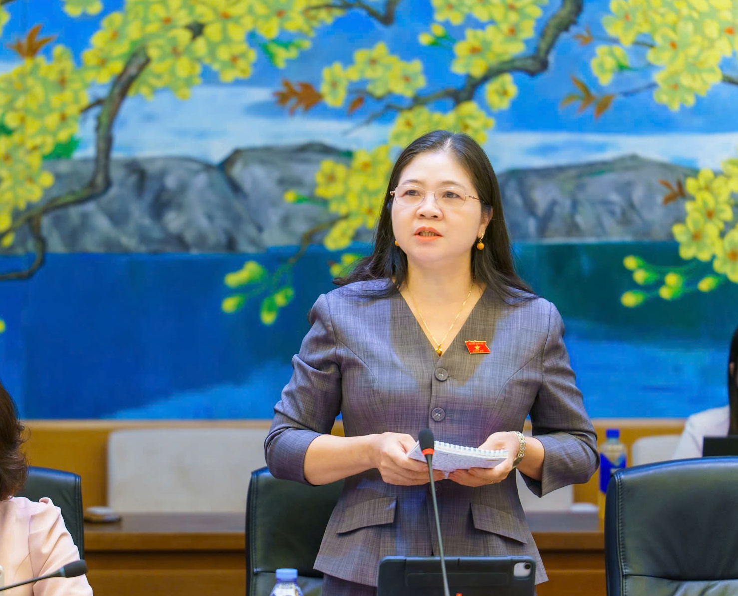 国会代表建议解决基层文化设施投资瓶颈——图2