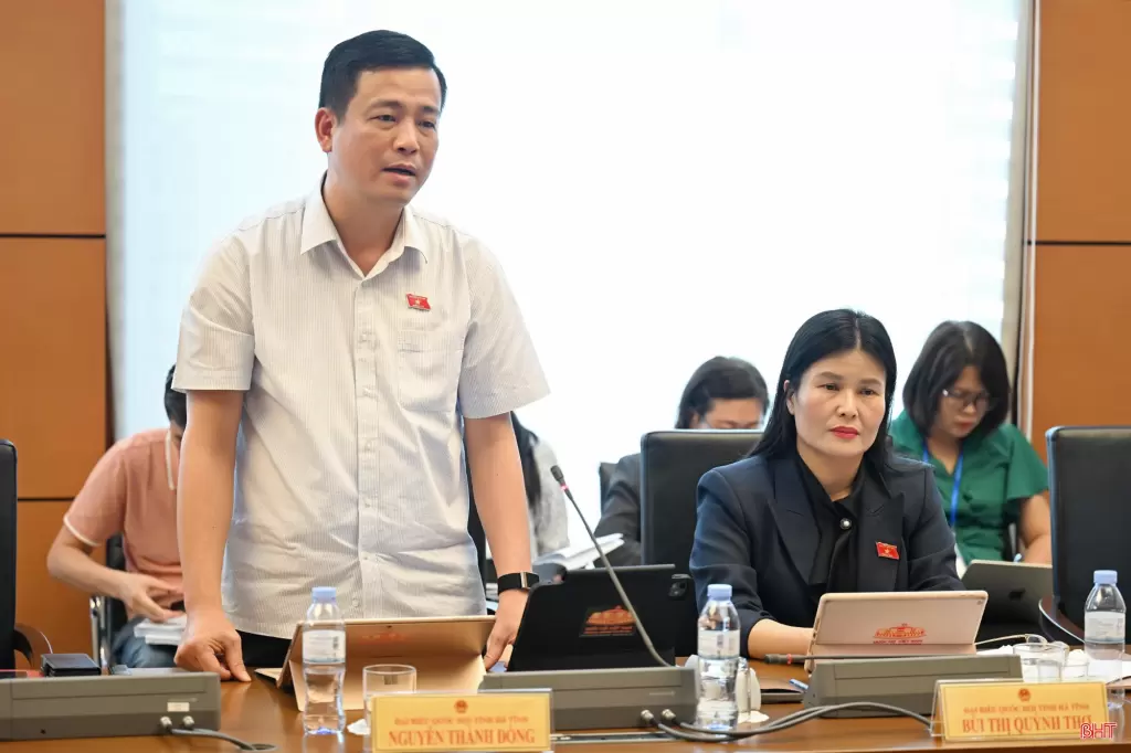 阮成龙发言