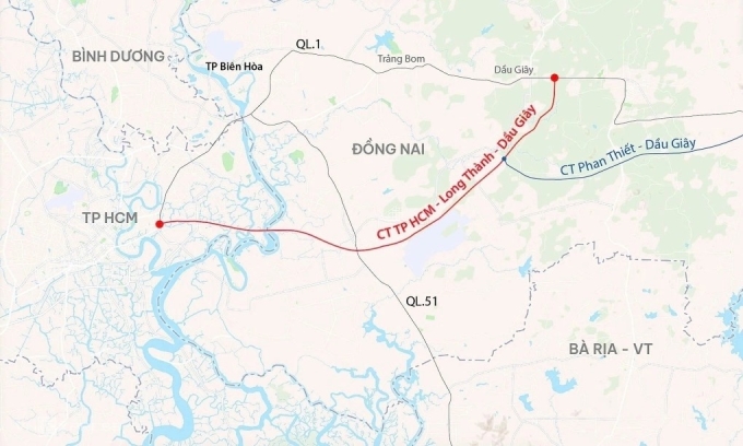 胡志明市-隆城高速公路上牛群奔跑