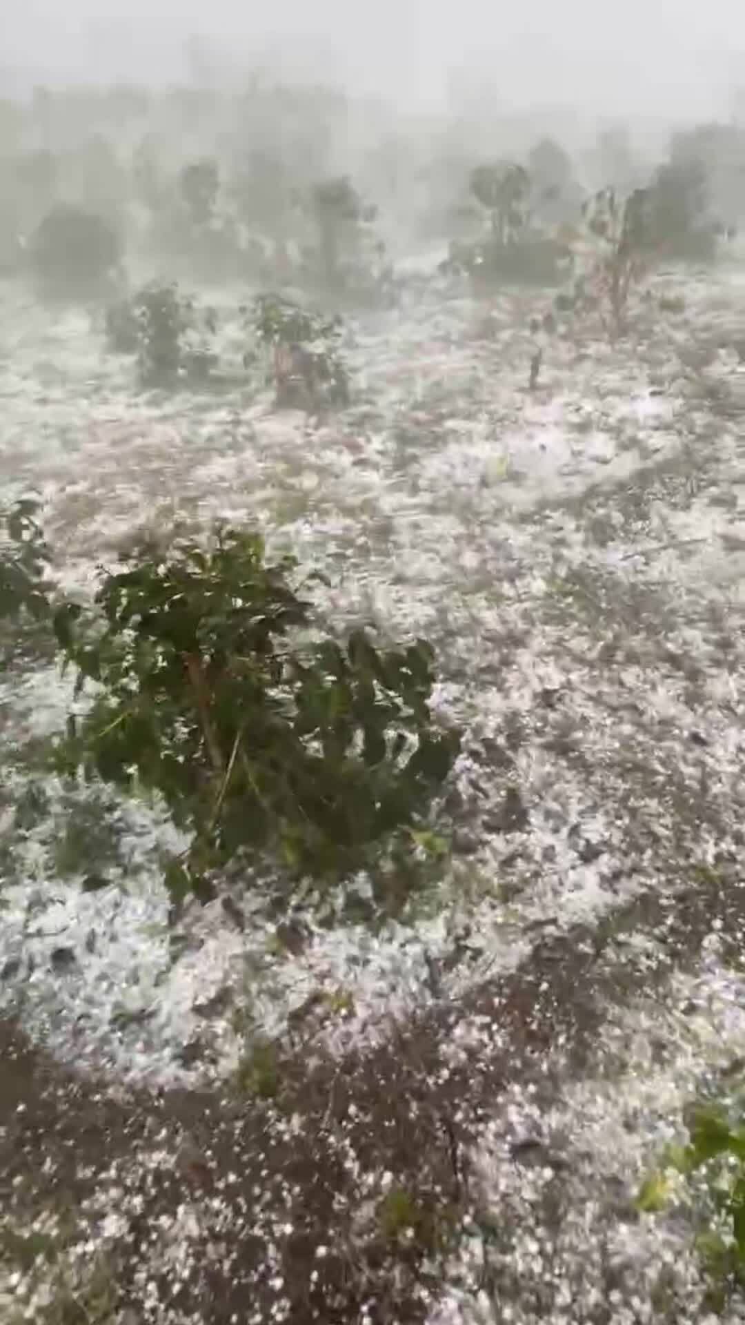 拳頭大的冰雹襲擊北河縣