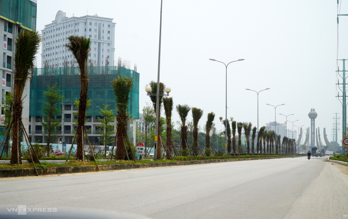 在清化市中心种植台湾榄仁树 | 越南中文社|越南新闻与政策信息中文平台