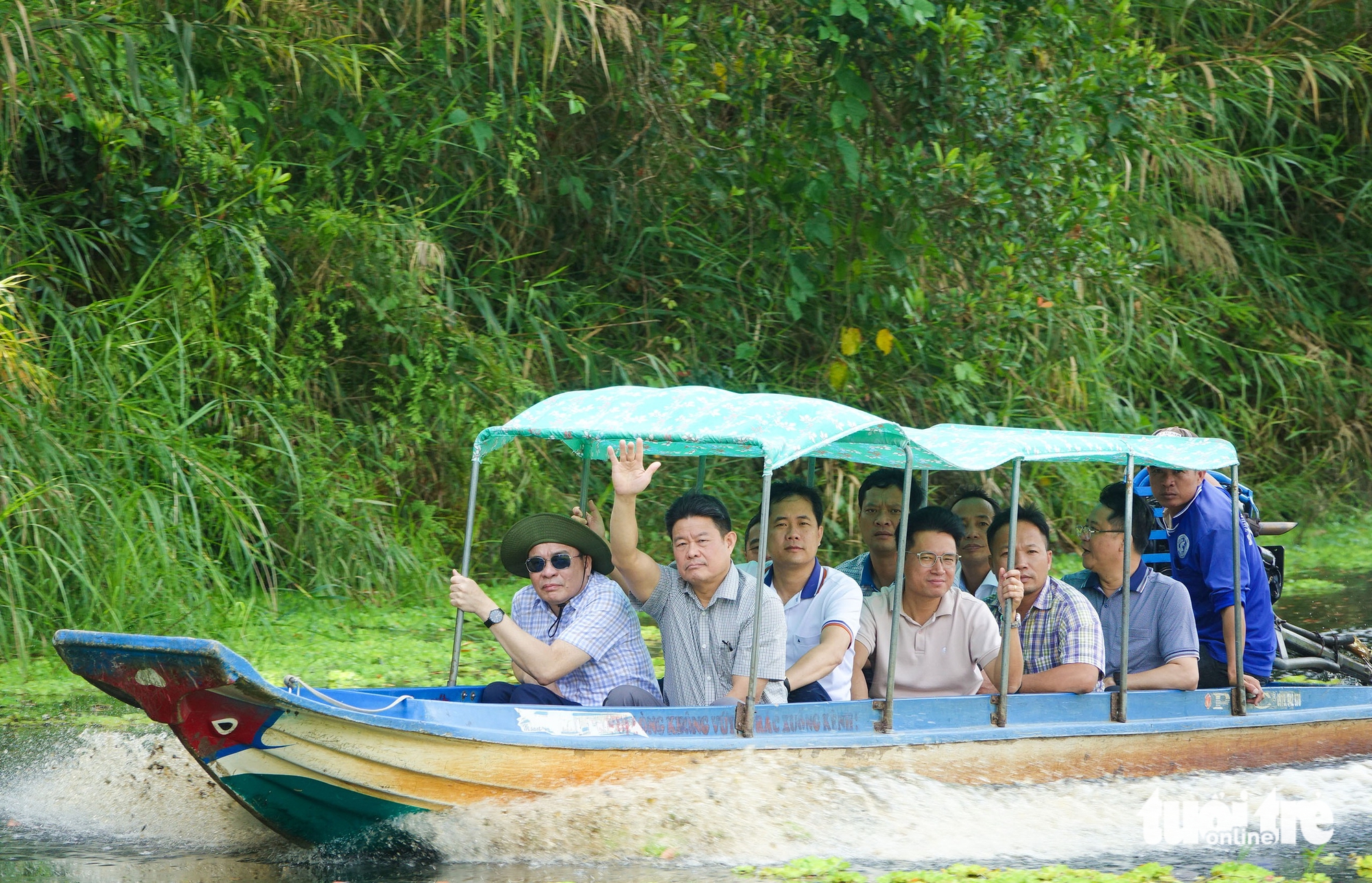 烏明上國家公園桉樹林再生,2002年火災後許多樹木高度超過10米