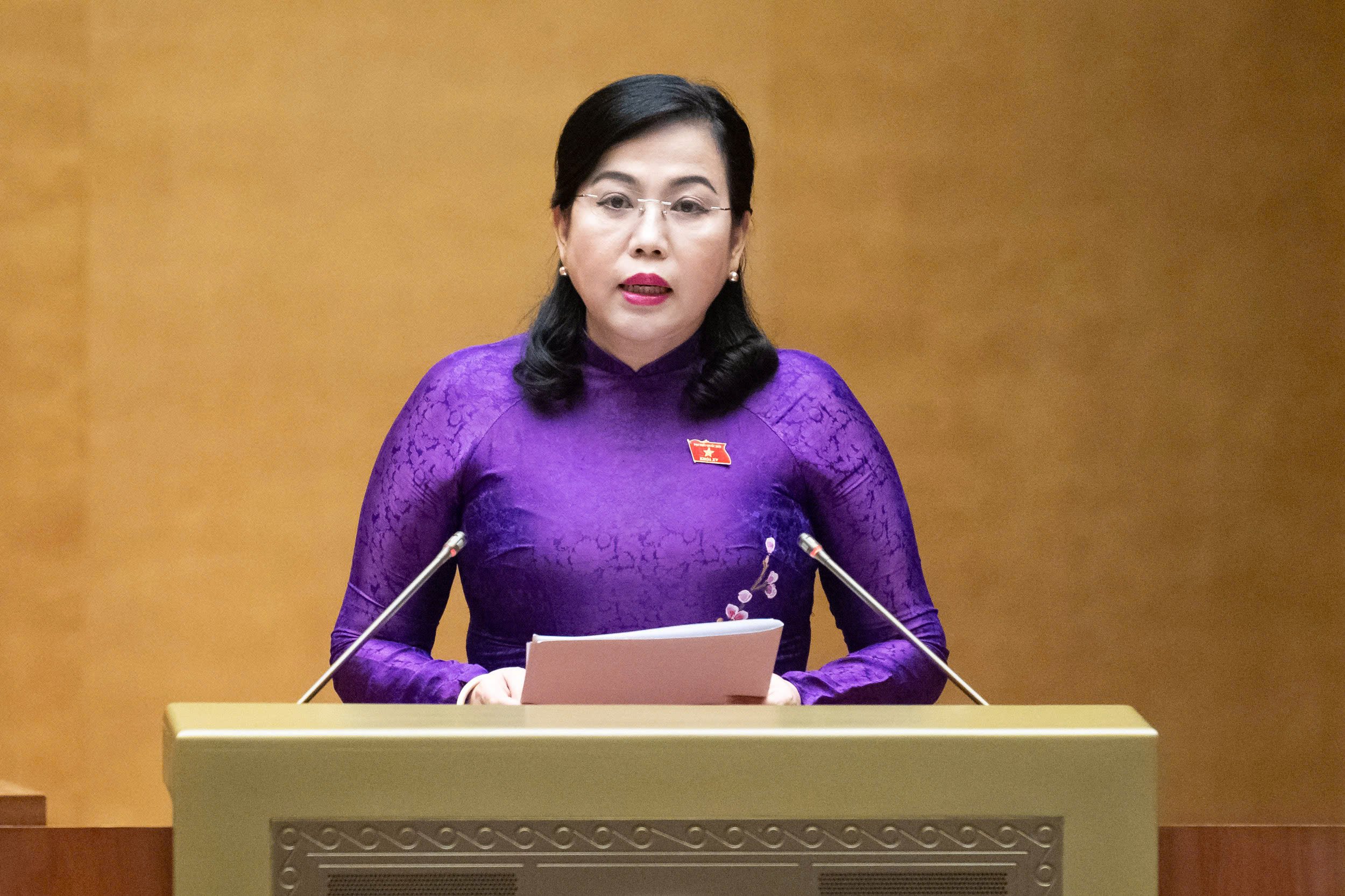 提交缩短国会代表、人民议会代表选举程序和手续的法律
