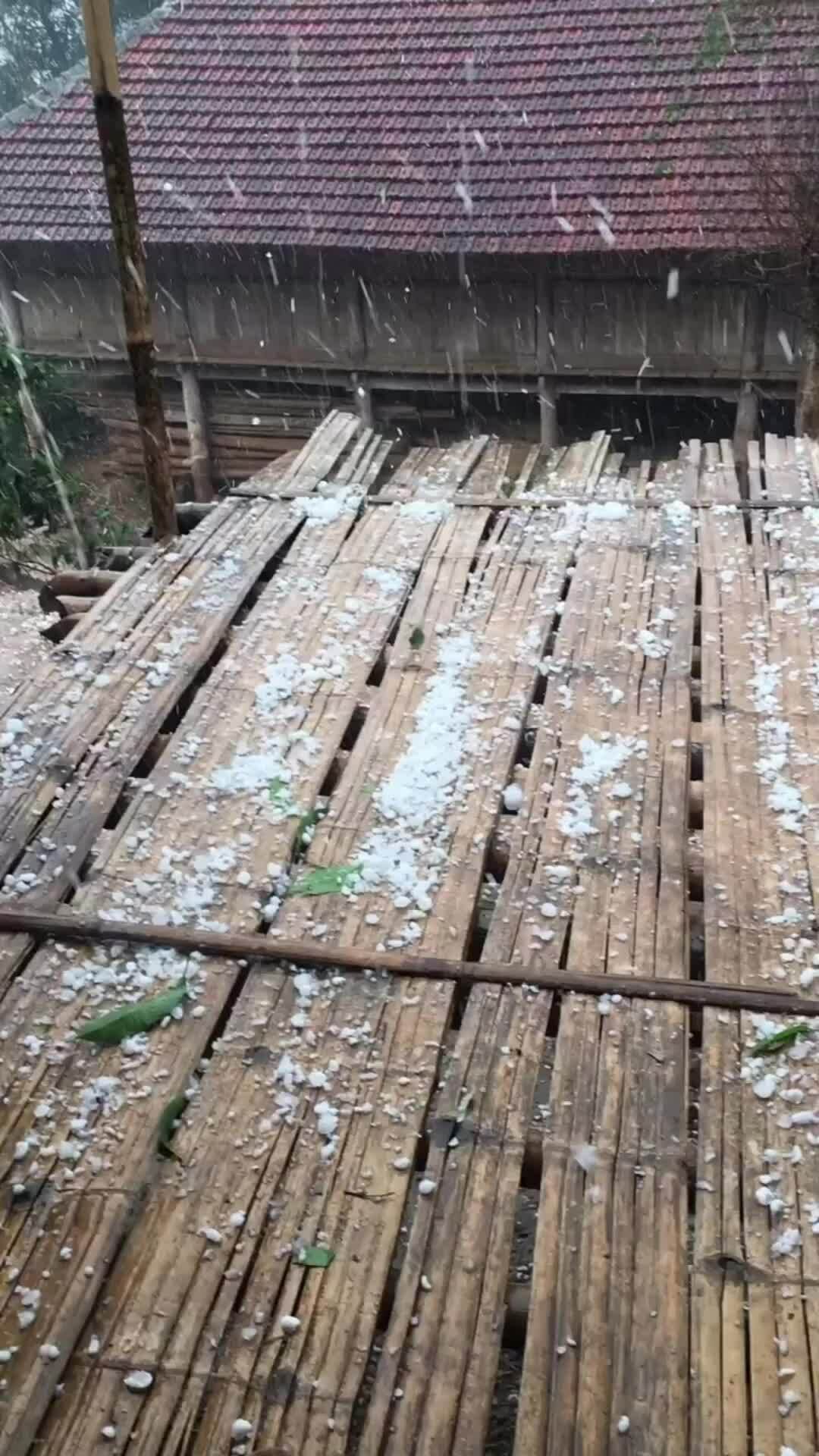 冰雹覆蓋山羅省山區